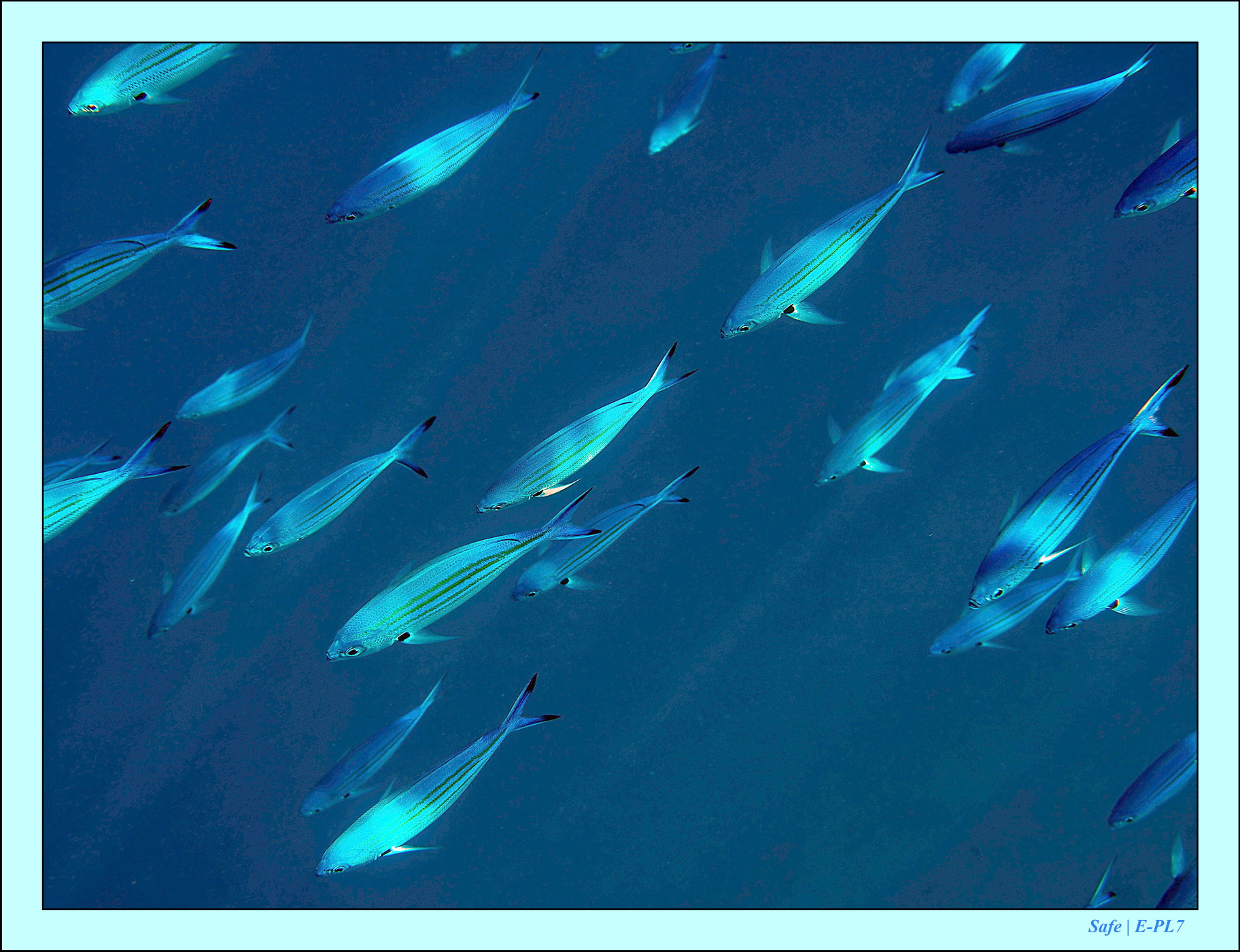 2023 - 07 - Sandies Bathala - 124